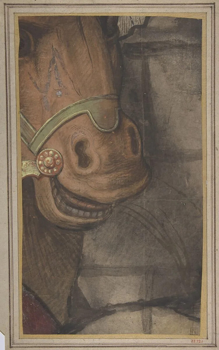Horse's head — Raphael (Raffaello Sanzio or Santi)
