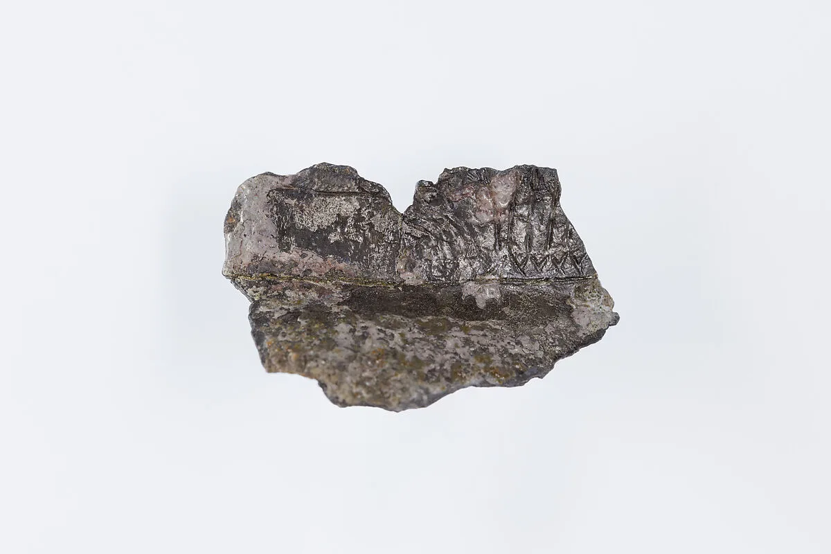 Vessel fragment — Unknown