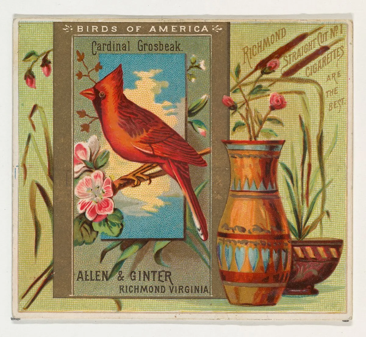 Cardinal Grosbeak, from the Birds of America series (N37) for Allen & Ginter Cigarettes — Allen & Ginter