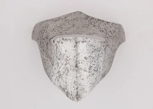 Visor for a Bascinet