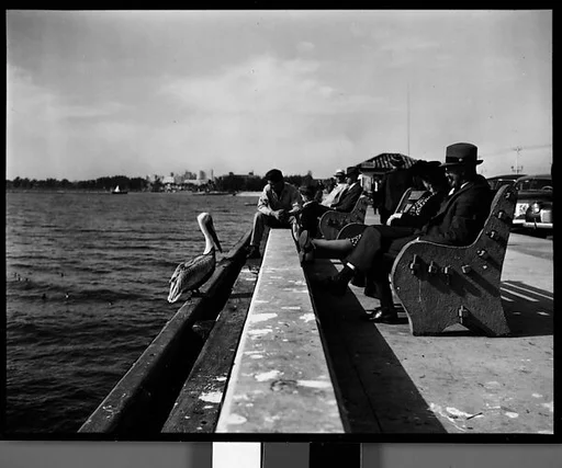 [People Sitting on Waterfront Benches, Florida]