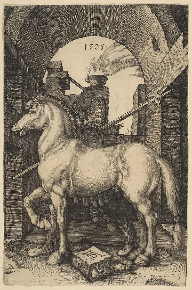 The Little Horse — Albrecht Dürer