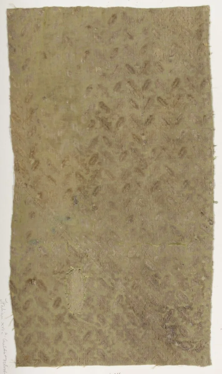 Fragment — Unknown