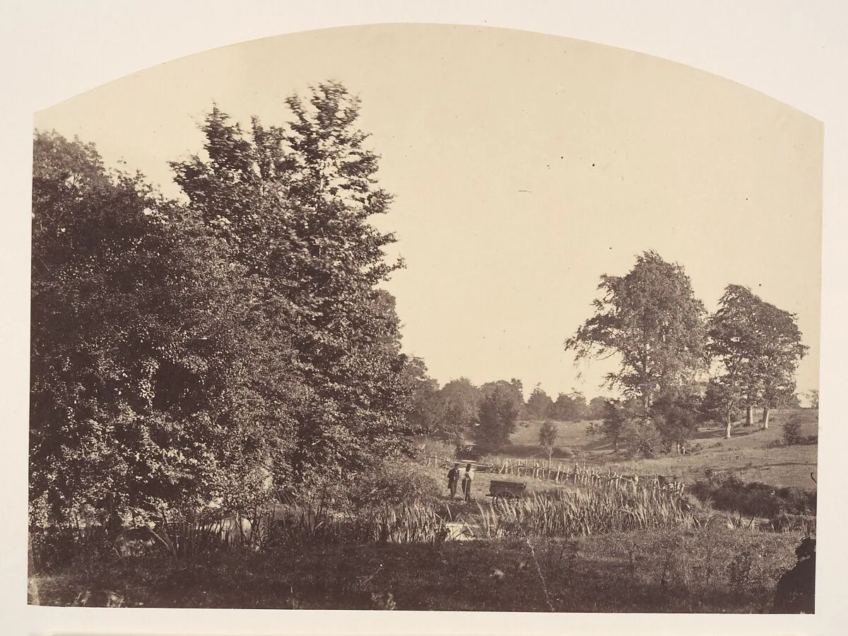 The Woodland Stream — Plunket