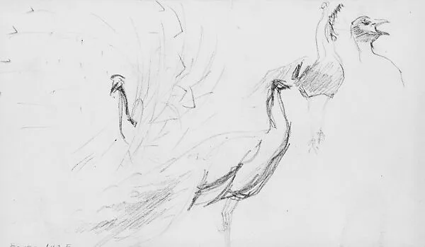 Peacocks — John Singer Sargent