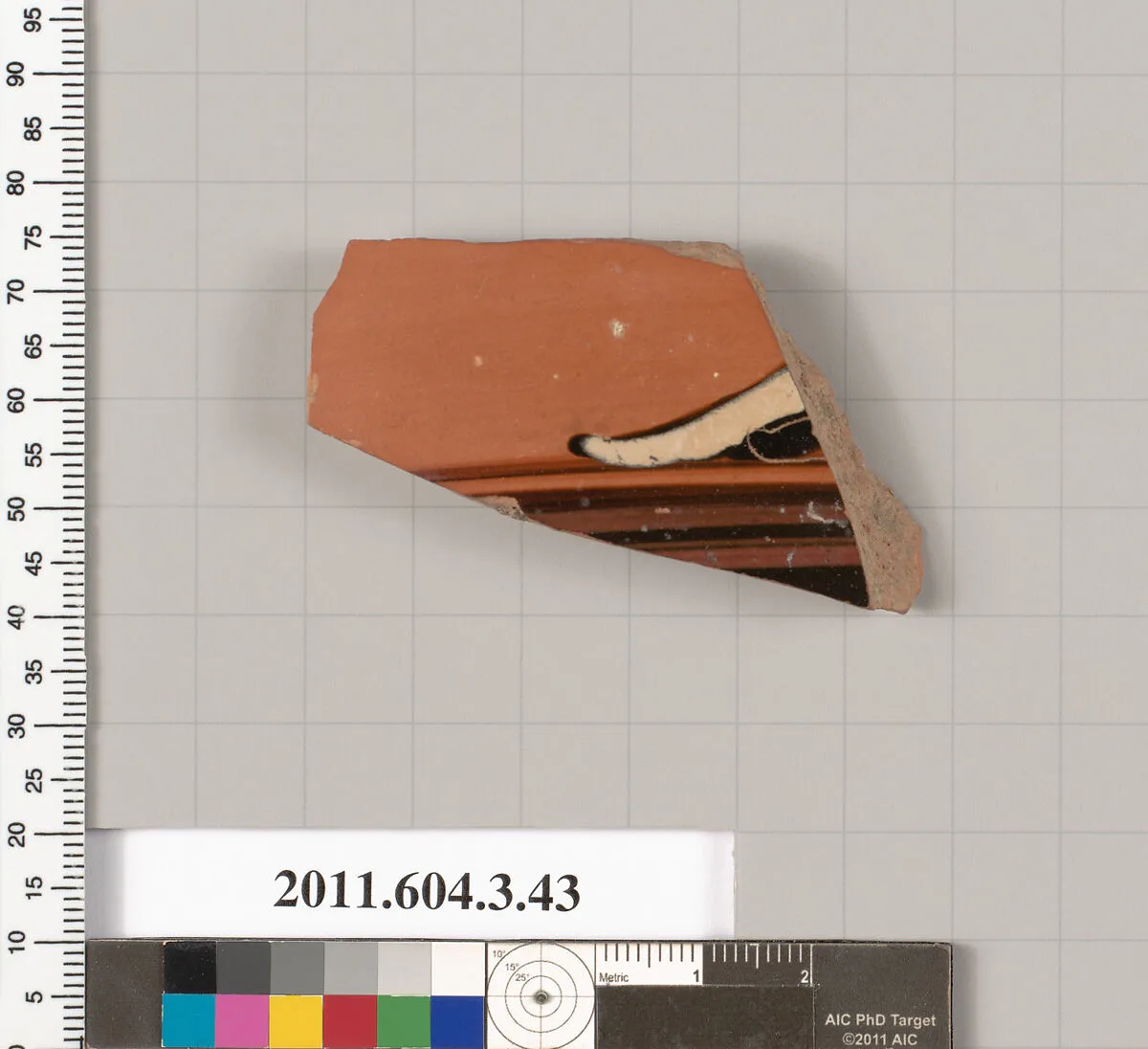 Terracotta fragment of an amphora (jar) — Unknown