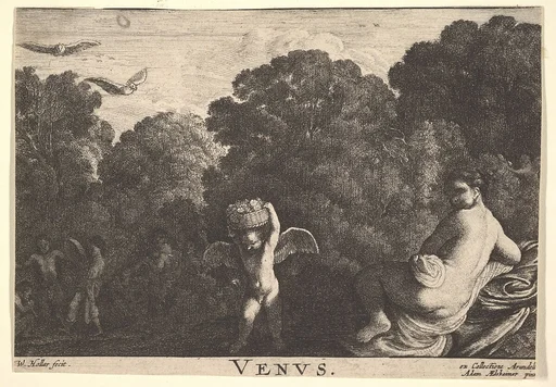 Realm of Venus