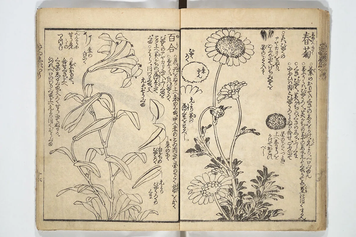 繪本彩色通 初編|Picture Book on the Use of Coloring, first volume (Ehon saishikitsū shohen) 繪本彩色通 初編 — Katsushika Hokusai 葛飾北斎