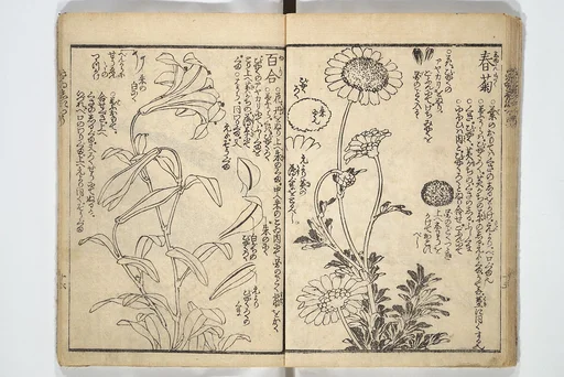 繪本彩色通 初編|Picture Book on the Use of Coloring, first volume (Ehon saishikitsū shohen) 繪本彩色通 初編