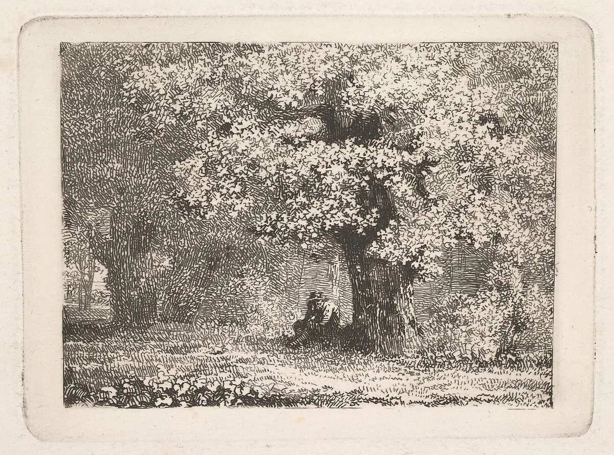 A Man Sitting under a Tree in Bloom — Johann Christoph Erhard