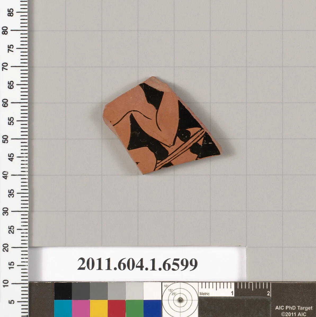 Terracotta fragment of a kylix (drinking cup) — Unknown
