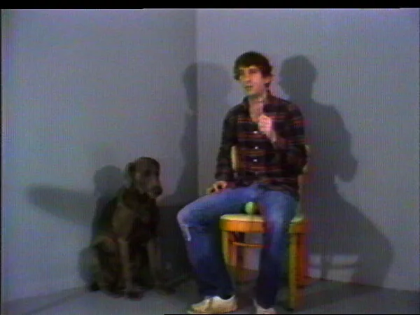 Dr. Joke — William Wegman