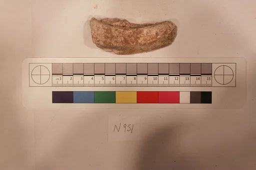 Stucco Fragment