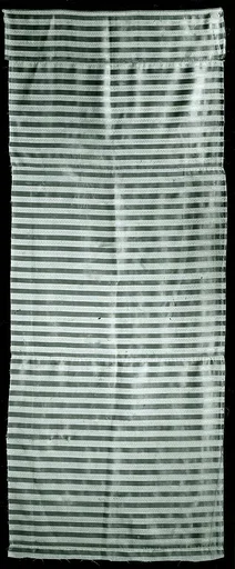 Panel