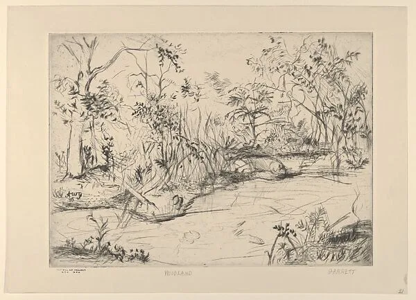 Woodland — Adams Wirt Garrett|WPA