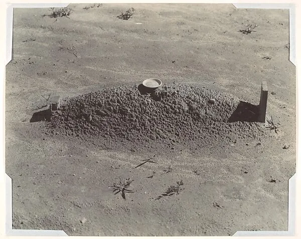 Grave — Walker Evans