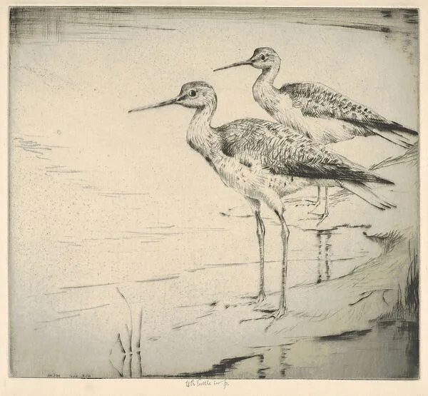 Two Yellow-legs (Wading in) — Henry Emerson Tuttle