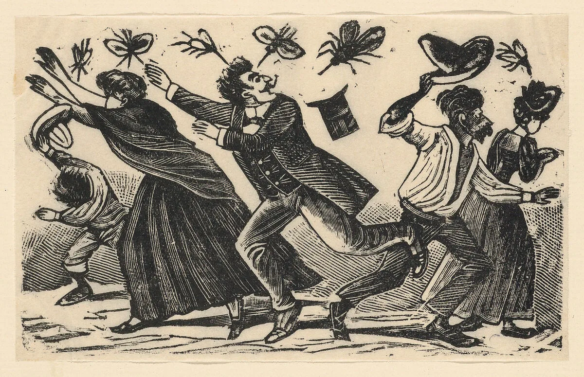 The American mosquito that just appeared in Mexico — José Guadalupe Posada