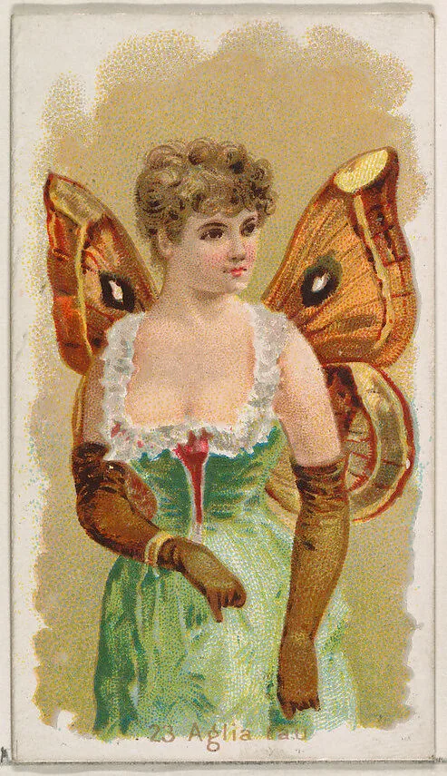 Card 23, Aglia Tau, from the Butterflies series (N183) issued by Wm. S. Kimball & Co. — Julius Bien|William S. Kimball & Company