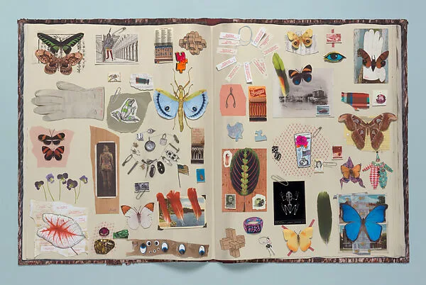 Scrapbook — Jane Hammond