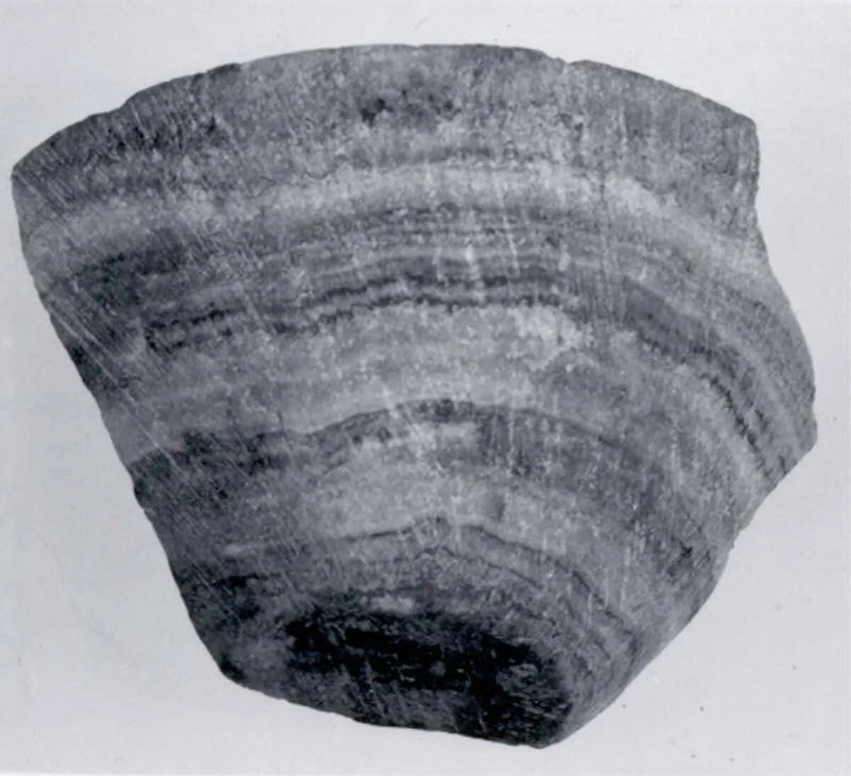 Cup fragment — Unknown