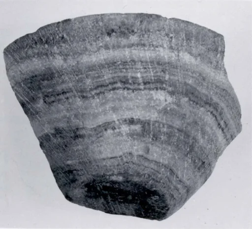 Cup fragment