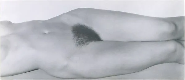 Georgia O'Keeffe – Torso — Alfred Stieglitz