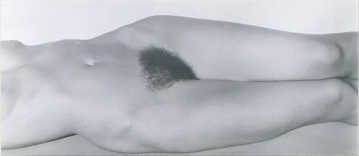 Georgia O'Keeffe – Torso