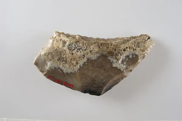 Sickle Insert — Unknown