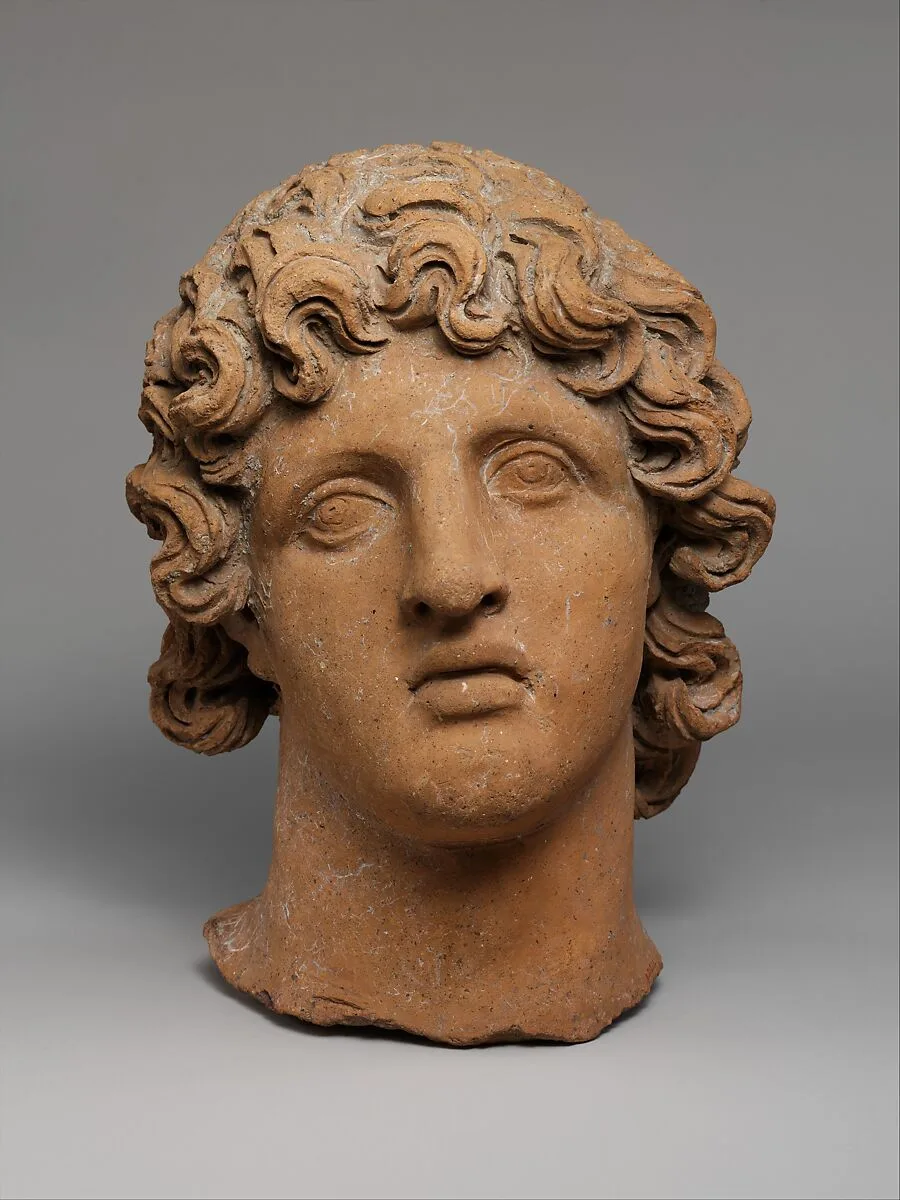 Terracotta head of a youth — Unknown