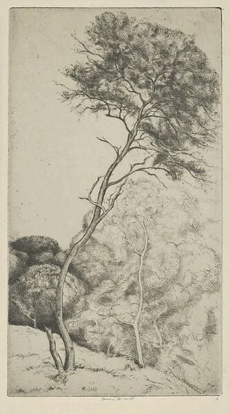 The Wand — Ernest Haskell
