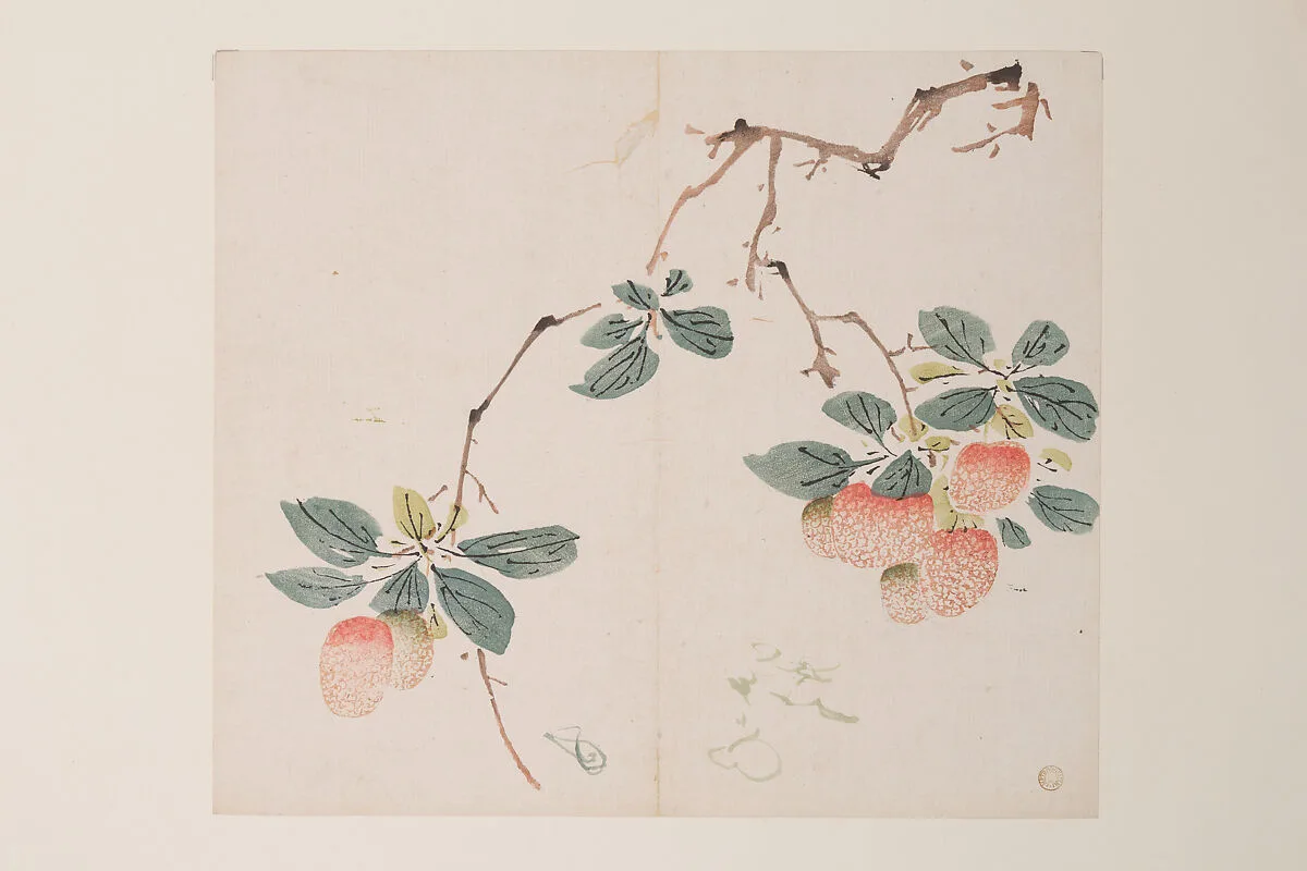明 胡正言 《十竹齋書畫譜》 四開 木版畫|Page from the Ten Bamboo Studio Manual of Painting and Calligraphy — Hu Zhengyan