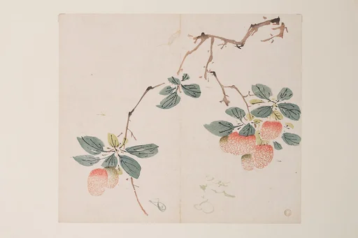 明 胡正言 《十竹齋書畫譜》 四開 木版畫|Page from the Ten Bamboo Studio Manual of Painting and Calligraphy