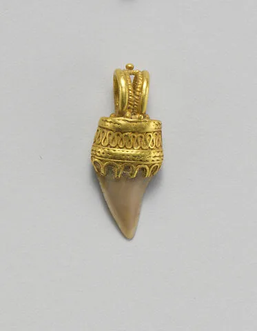 Tooth pendant set in gold — Unknown