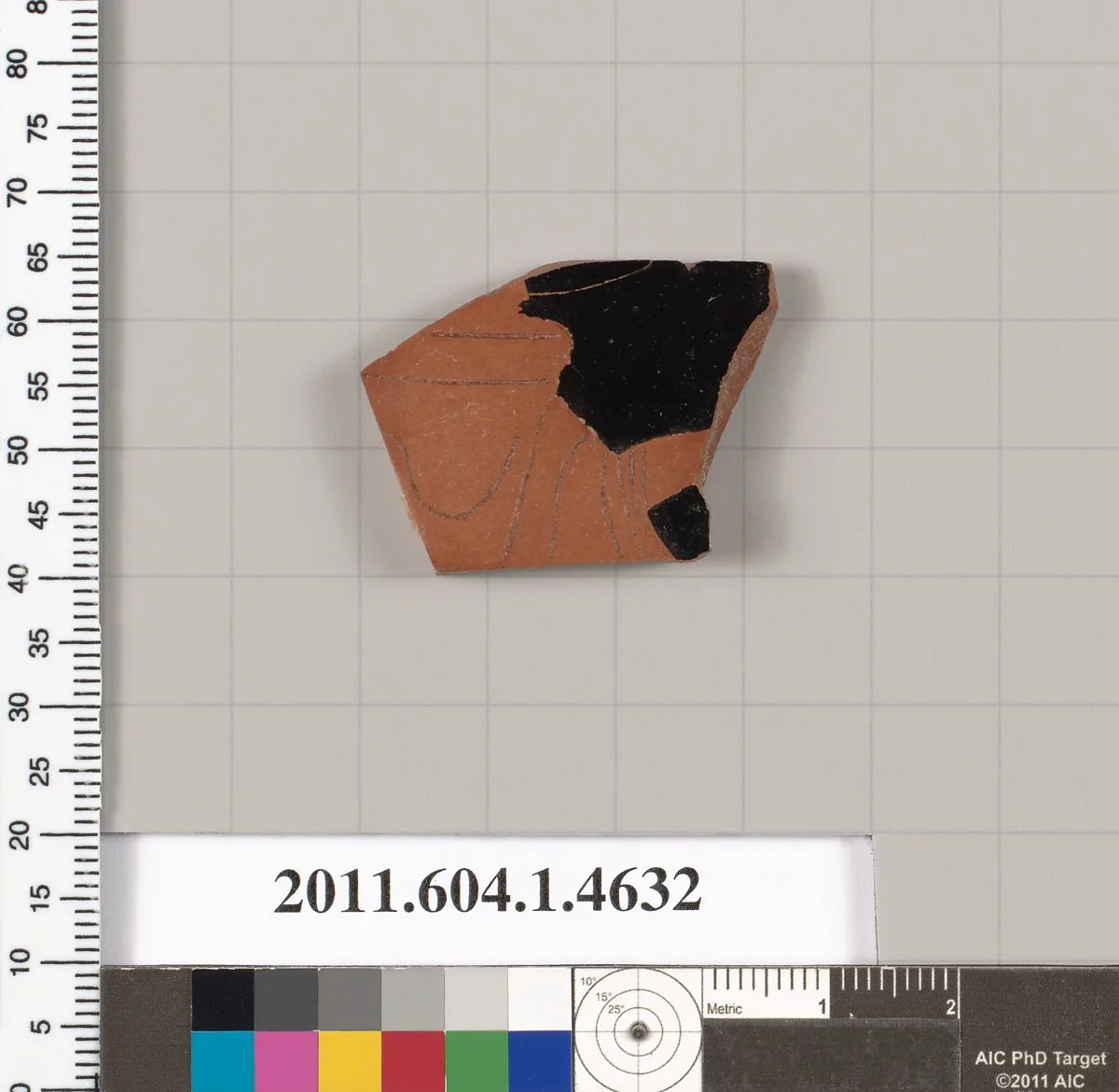 Terracotta fragment of a kylix (drinking cup) — Unknown