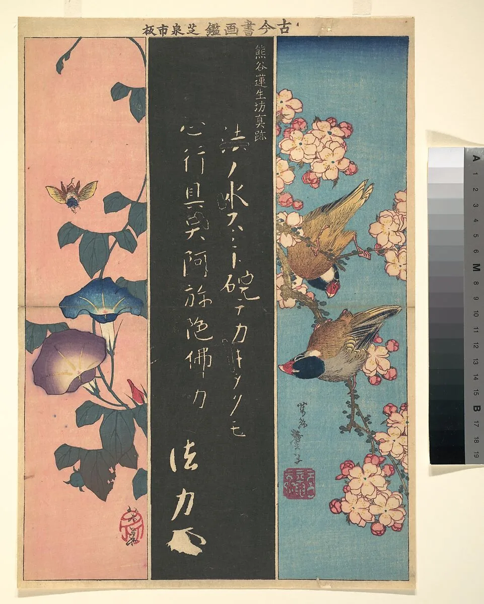 古今書画鑑 熊谷蓮生坊真跡|Bird-and-Flower Paintings — Katsushika Hokusai|Kumagai Naozane