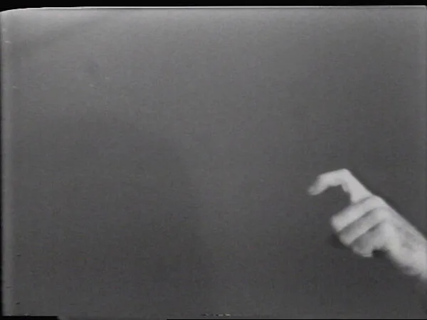 Crooked Stick Crooked Finger — William Wegman