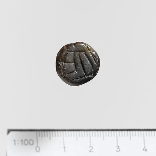 Seal