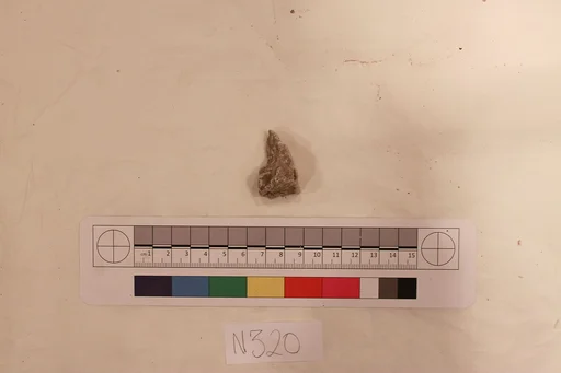 Stucco Fragment