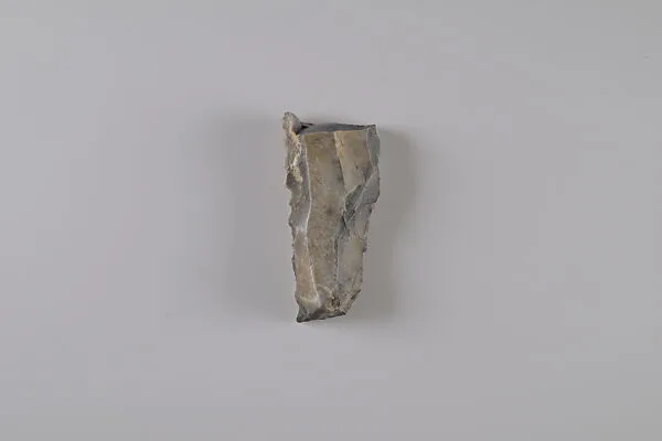 Sickle Insert Fragment — Unknown