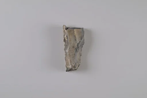 Sickle Insert Fragment