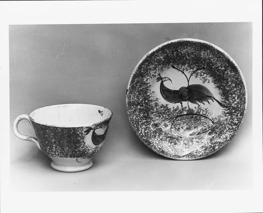 Cup