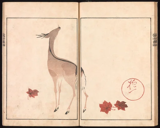 池田孤邨画 『抱一上人真蹟鏡』|Ōson (Hōitsu) Picture Album (Ōson gafu)