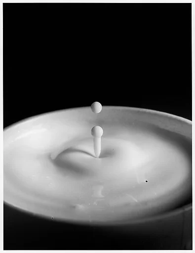 [Milk Drop Falling Into Reservoir of Milk (8/9)]