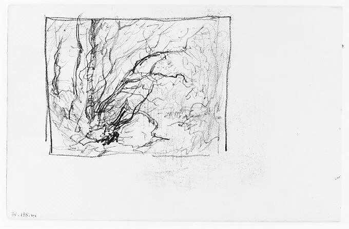Trees in Wood (from Sketchbook) — Henry Ward Ranger