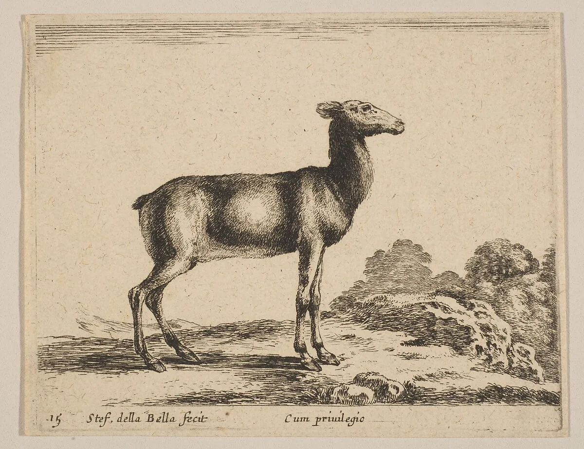 Plate 15: Doe, from "Various animals" (Diversi animali) — Stefano della Bella|Pierre François Basan