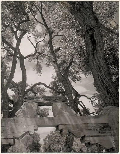 Gate, Pojoaque Road, New Mexico