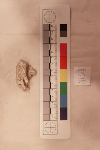Stucco Fragment