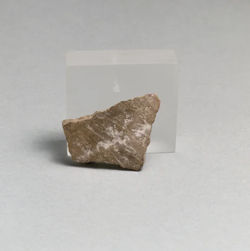 Vase fragment