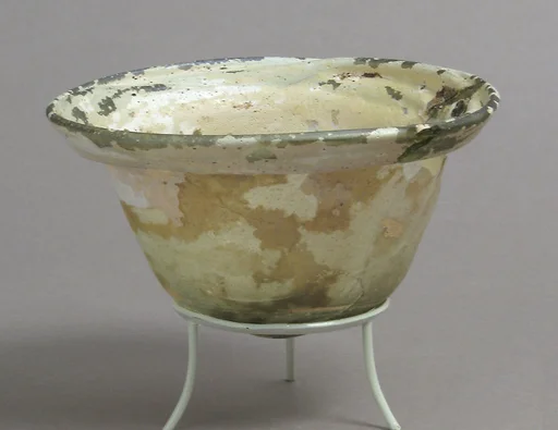 Palm Cup